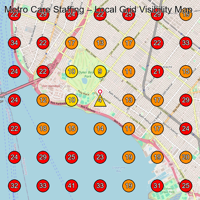 Metro Care Staffing GeoGrid visibility map for Physical Therapist in Brooklyn